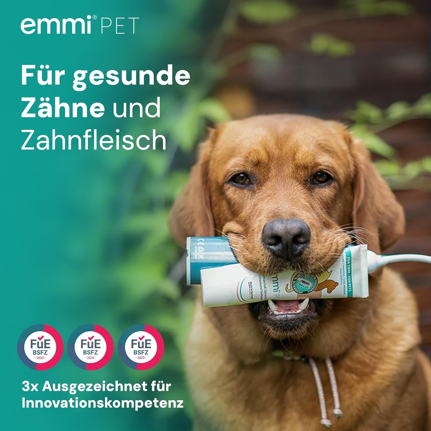 emmi-pet 2.0 Ultraschall-Zahnbürste, Geräuschlose Hundezahnbürste ohne Schrubben mit 96 Mio. Schwingungen - beugt Zahnstein & Entzündungen vor – Inkl. Ultraschall-Aufsätze & Hundezahnpasta – Grün