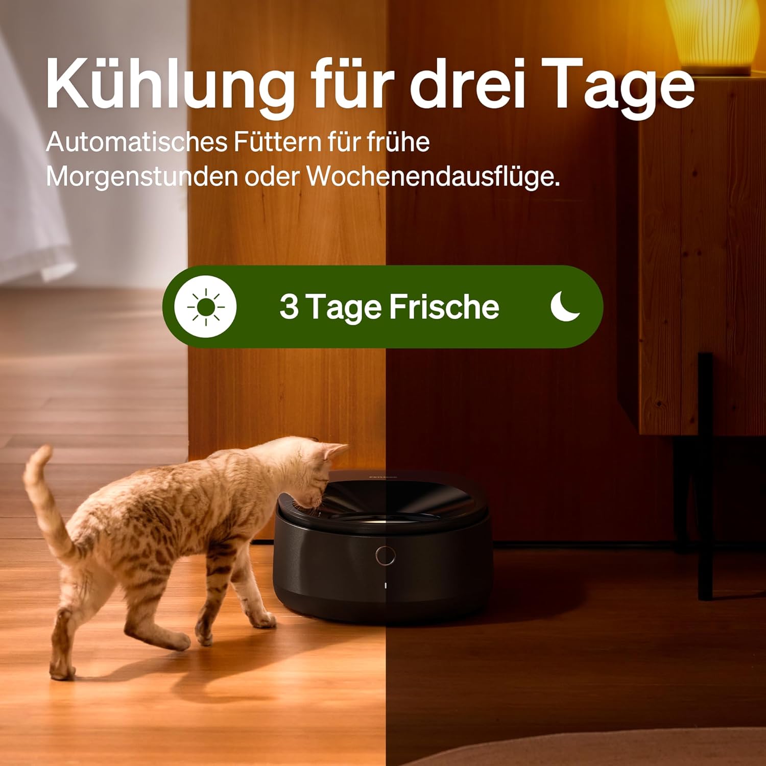PETLIBRO Futterautomat Katze Nassfutter mit Spülmaschinengeeigneter Edelstahlnapf, Nassfutterautomat mit Halbleiter Kühlung, 2,4 GHz Wi-Fi Smart App-Steuerung, 3 Tage wahre Frische, Wet Food Feeder