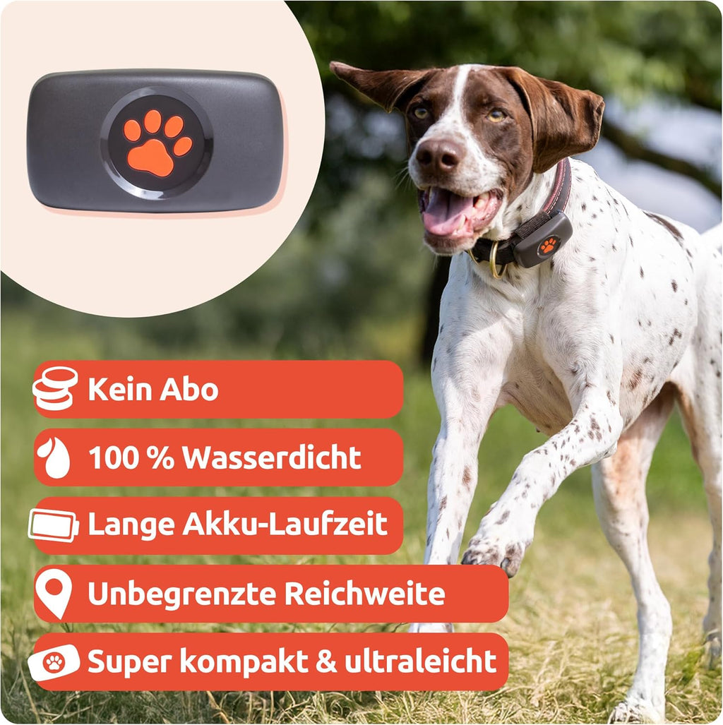 PitPat GPS Tracker für Hunde ohne ABO Gebühren Satellitenortung mit unbegrenzter Reichweite – Haustier Live Aktivitätstracking – Wasserdicht – für alle Hunde geeignet – Passt an jedes Hundehalsband