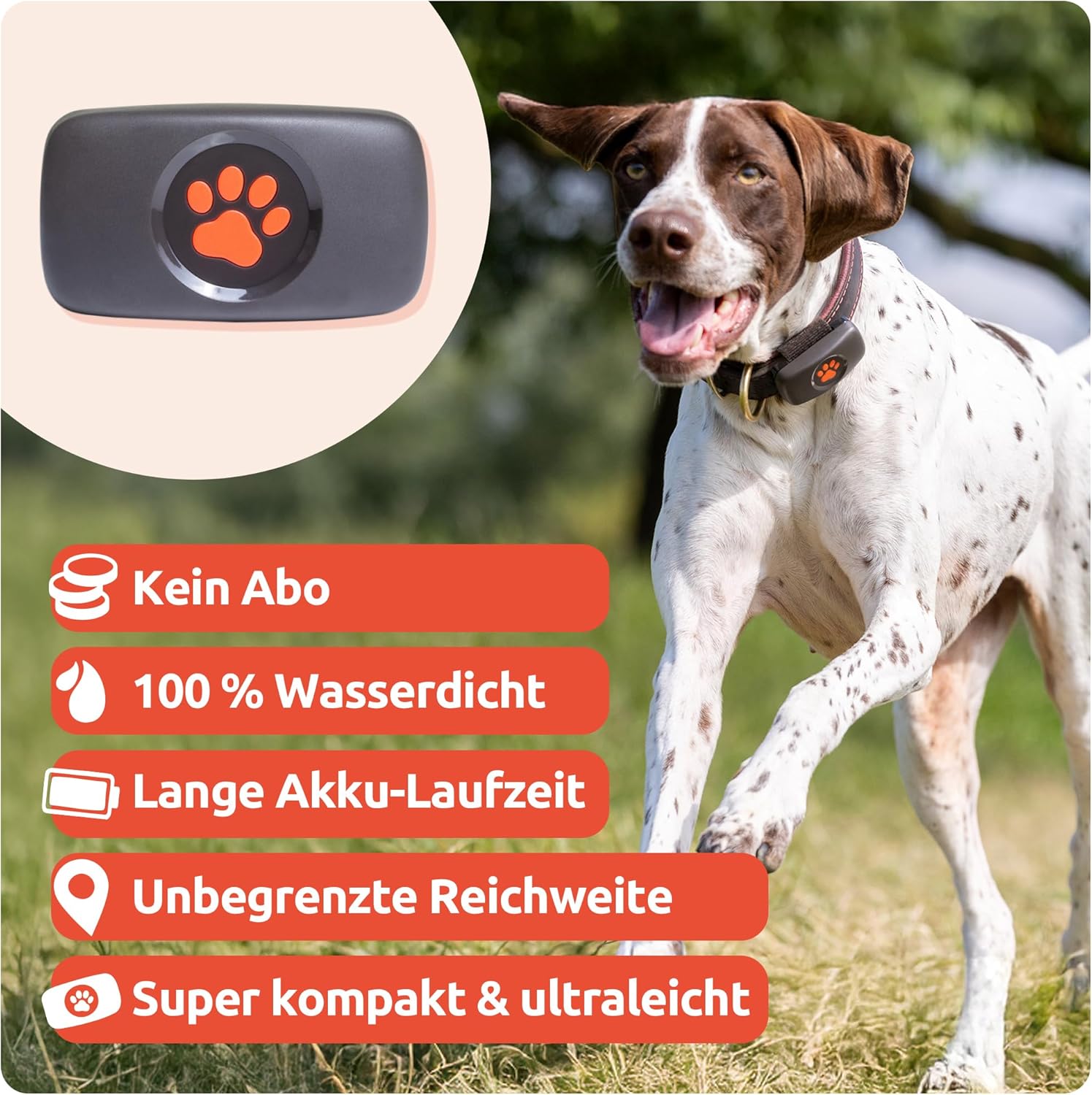 PitPat GPS Tracker für Hunde ohne ABO Gebühren Satellitenortung mit unbegrenzter Reichweite – Haustier Live Aktivitätstracking – Wasserdicht – für alle Hunde geeignet – Passt an jedes Hundehalsband