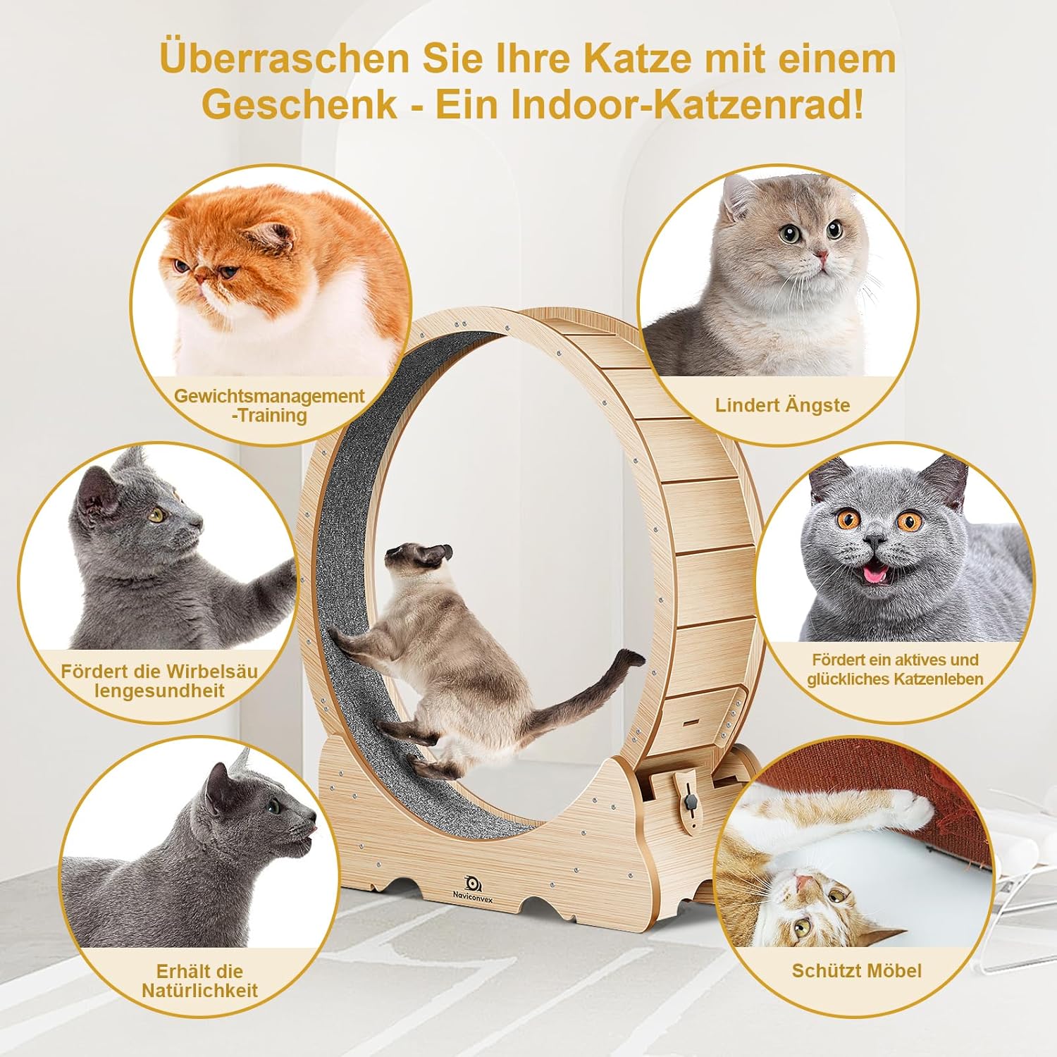 Naviconvex Super leises Holz-Laufrad XXL 135cm für Katzen