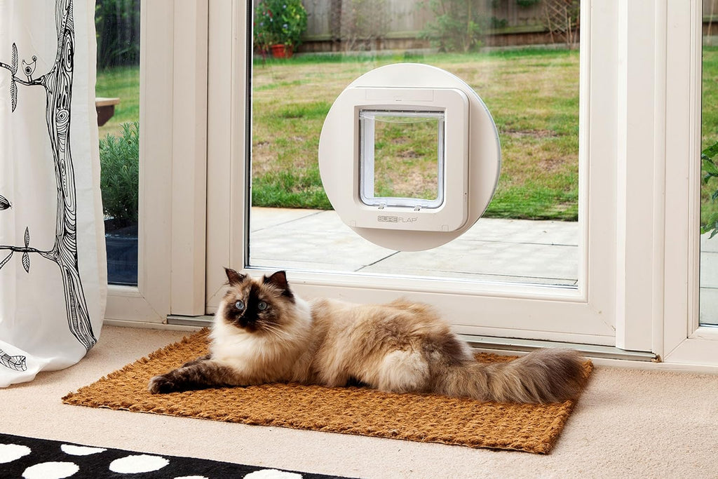 SureFlap Sure Petcare Mikrochip-Haustierklappe mit Sperrmodus, kompatibel mit RFID-Halsbändern und Mikrochips, EIN-Knopf-Steuerung, für Katzen und kleine Hunde, 4 x C-Batterien erforderlich, weiß